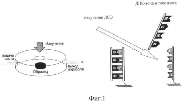 Способ абляции целевой днк с поверхности днк-биочипов (патент 2410439)