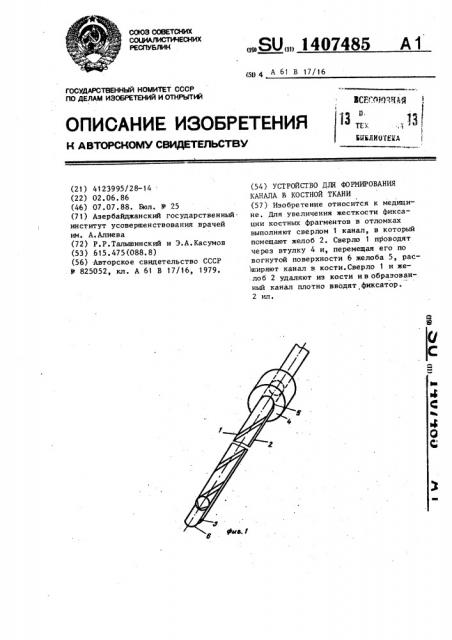 Устройство для формирования канала в костной ткани (патент 1407485)