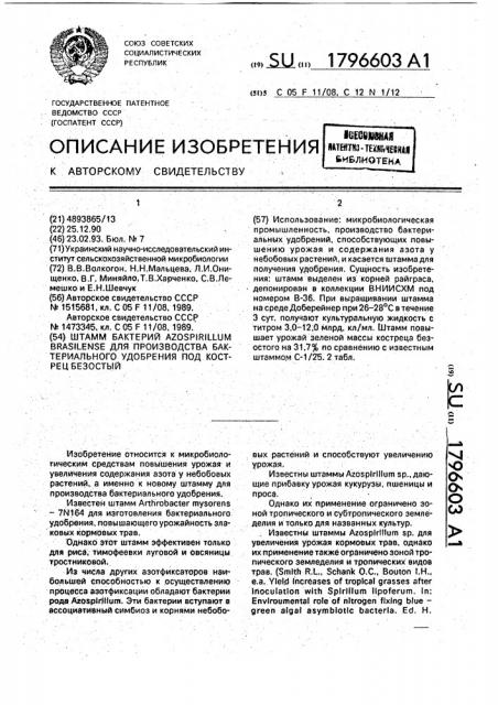 Штамм бактерий аzоsрirilluм вrаsilеns для производства бактериального удобрения под кострец безостый (патент 1796603)