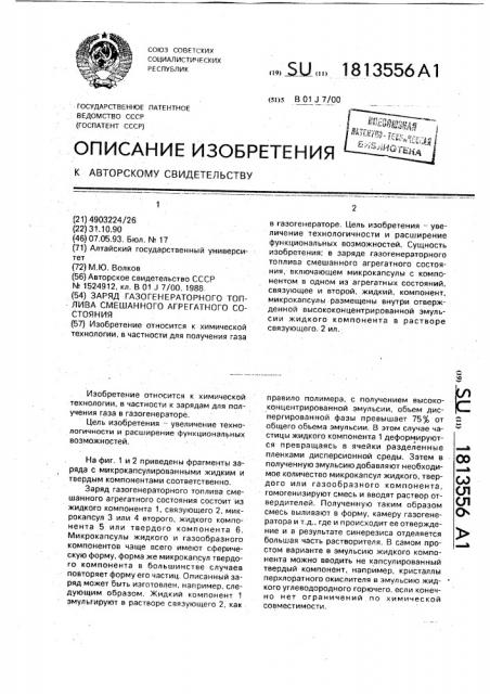 Заряд газогенераторного топлива смешанного агрегатного состояния (патент 1813556)