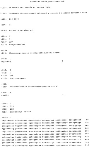 Снижение сопутствующих инфекций у свиней с помощью антигена pcv2 (патент 2491092)