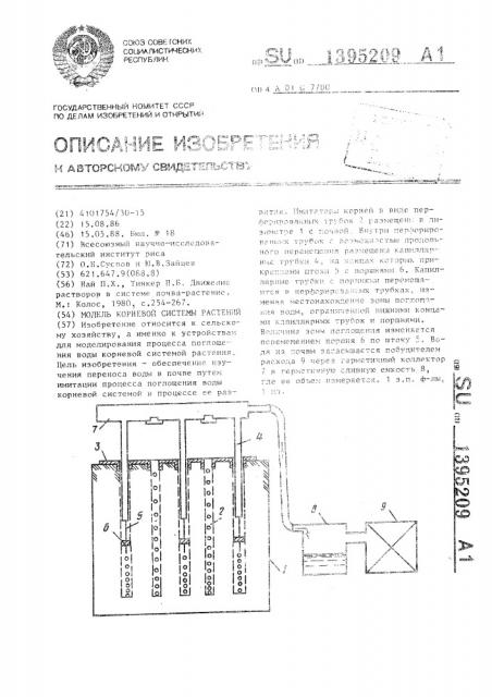 Модель корневой системы растений (патент 1395209)