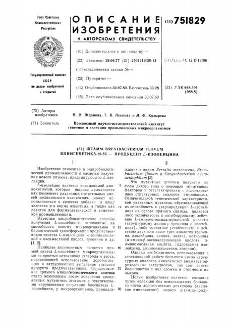 Штамм вниигенетика-10-89-продуцент изолейцина (патент 751829)