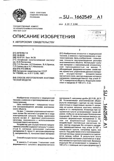 Способ изготовления анатомической модели (патент 1662549)