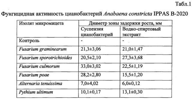 Способ стимуляции роста и развития растений, повышения урожайности и защиты от фитопатогенных грибов в аридной зоне (патент 2634387)