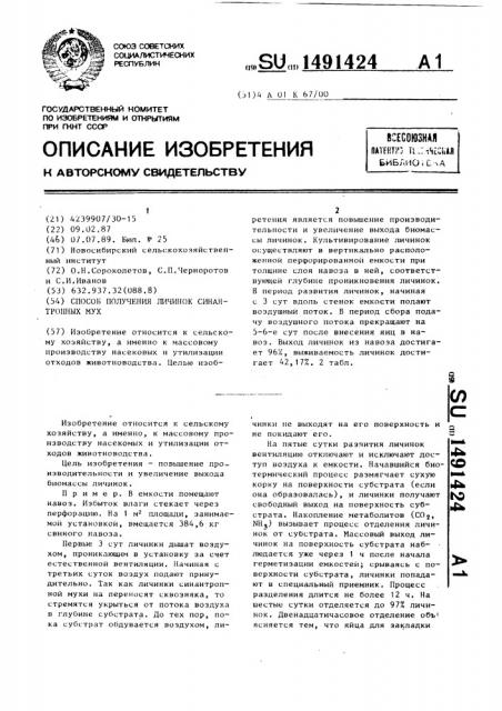Способ получения личинок синантропных мух (патент 1491424)