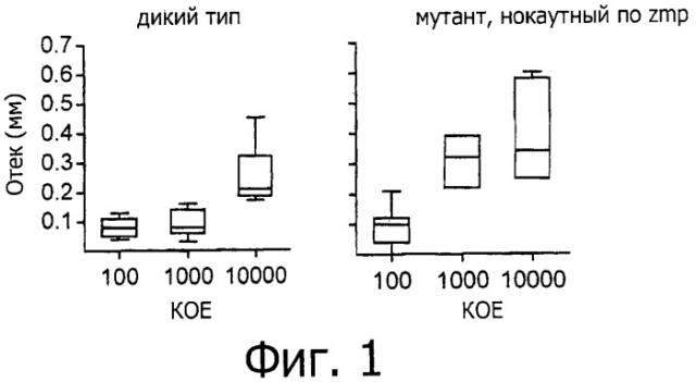 Вакцина mycobacterium tuberculosis (патент 2473365)