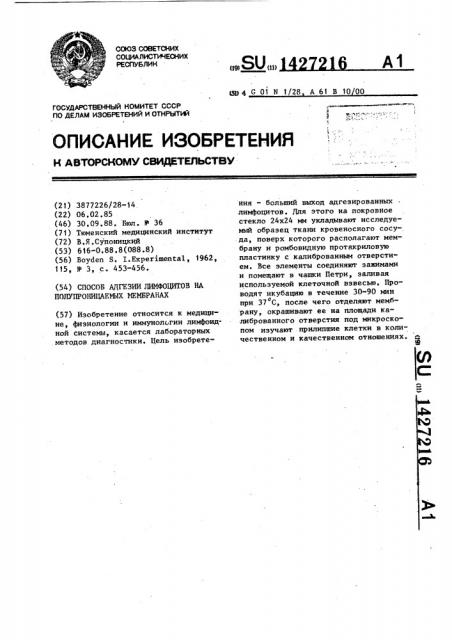 Способ адгезии лимфоцитов на полупроницаемых мембранах (патент 1427216)