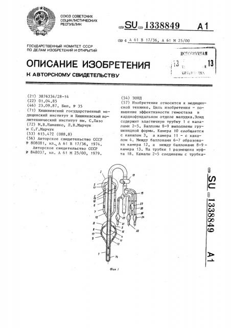 Зонд (патент 1338849)