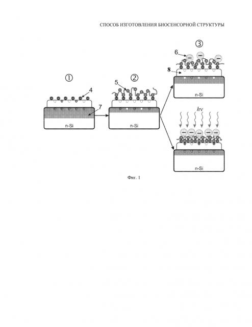 Способ изготовления биосенсорной структуры (патент 2644979)