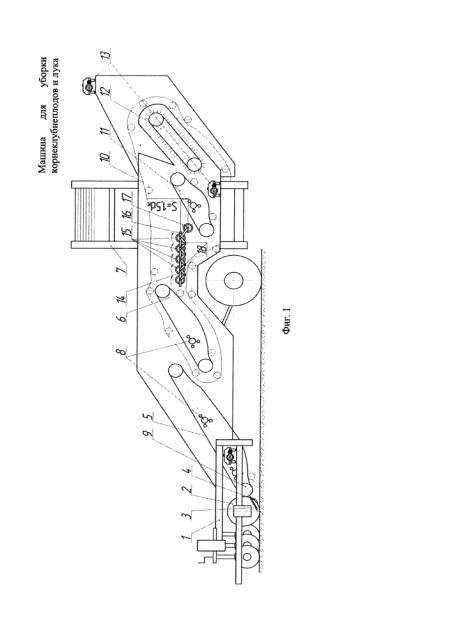 Машина для уборки корнеклубнеплодов и лука (патент 2633400)
