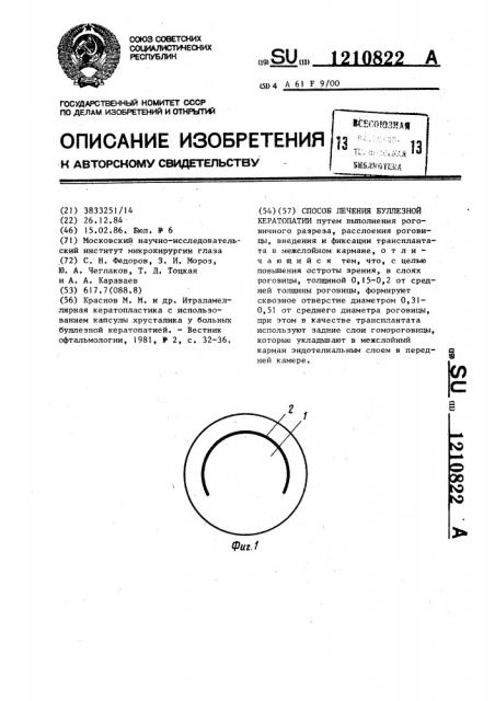 Способ лечения буллезной кератопатии (патент 1210822)
