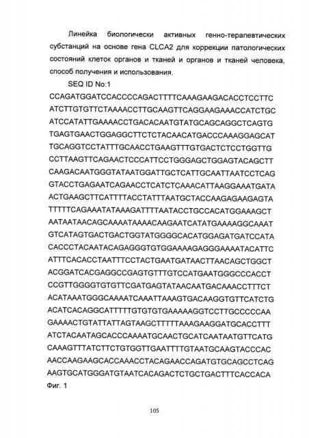 Линейка биологически активных генно-терапевтических субстанций на основе гена clca2 для коррекции патологических состояний клеток органов и тканей и органов и тканей человека, способ получения и использования (патент 2652318)
