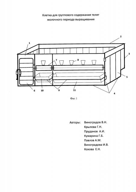Клетка для группового содержания телят молочного периода выращивания (патент 2619286)