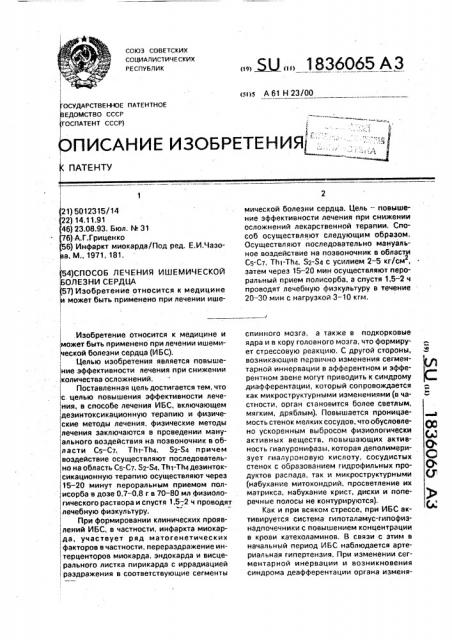 Способ лечения ишемической болезни сердца (патент 1836065)
