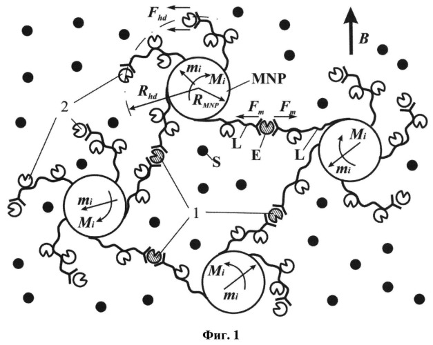 Способ управления биохимическими реакциями (патент 2525439)