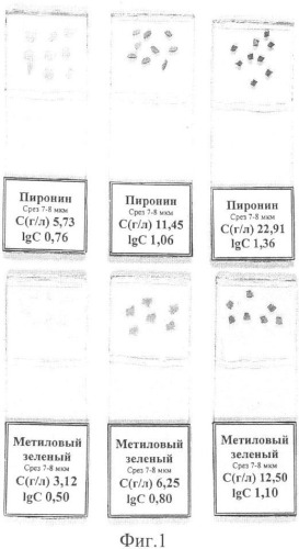 Способ изготовления градуировочных стандартов (патент 2363949)