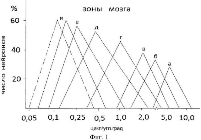 Способ оценки функционального состояния мозга человека (патент 2563371)
