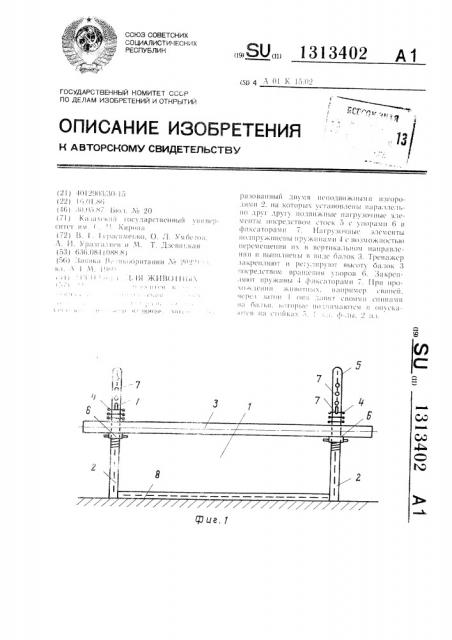 Тренажер для животных (патент 1313402)
