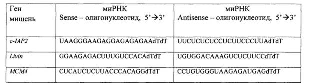 Композиция для ингибирования роста и стимуляции апоптоза клеток колоректального рака (патент 2644675)