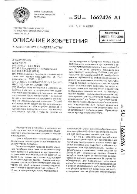 Способ восстановления защитных лесных насаждений (патент 1662426)