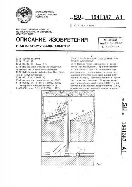 Устройство для гидродобычи полезных ископаемых (патент 1541387)