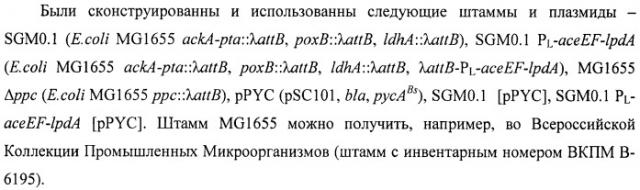 Бактерия escherichia coli - продуцент янтарной кислоты и способ получения янтарной кислоты (патент 2466186)