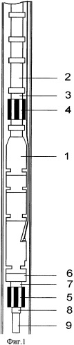 Способ защиты от коррозии погружного электроцентробежного насоса, подвешенного на колонне насосно-компрессорных труб (патент 2435940)