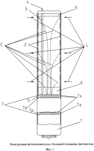 Фотоумножитель с большой площадью фотокатода (патент 2588047)