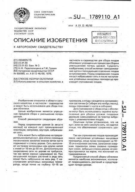 Способ уборки облепихи (патент 1789110)