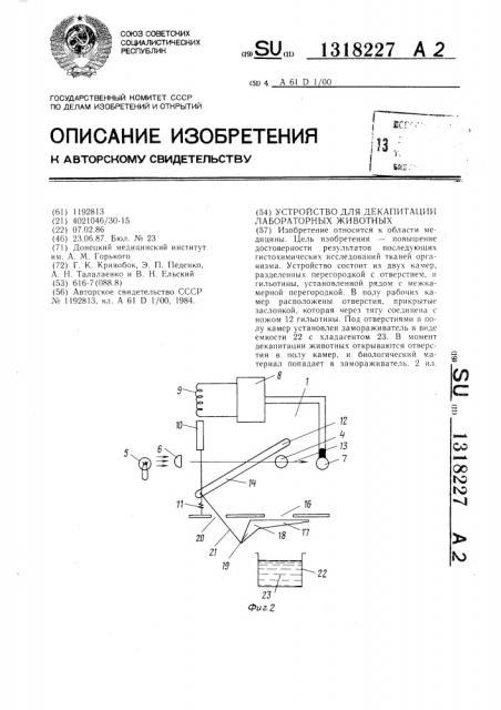 Устройство для декапитации лабораторных животных (патент 1318227)