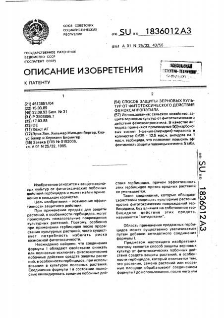 Способ защиты зерновых культур от фитотоксического действия феноксапропэтила (патент 1836012)