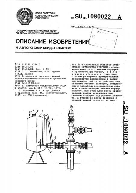 Скважинное устьевое дозирующее устройство реагента (патент 1080022)