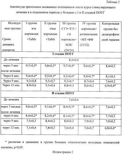 Способ лечения заболеваний зрительного нерва и сетчатки (патент 2447864)