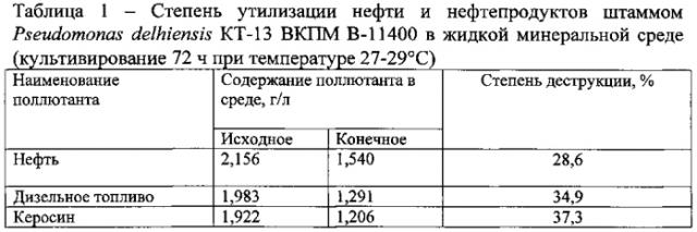 Штамм бактерий pseudomonas delhiensis - деструктор нефти и нефтепродуктов (патент 2575063)