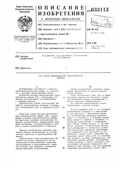 Ротор явнополюсной электрической машины (патент 633113)