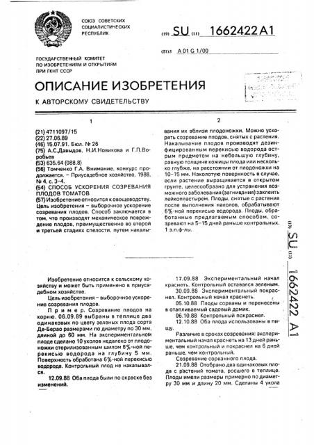 Способ ускорения созревания плодов томатов (патент 1662422)