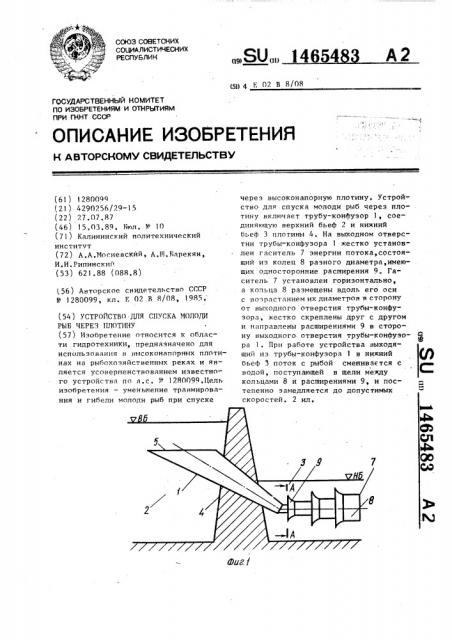 Устройство для спуска молоди рыб через плотину (патент 1465483)