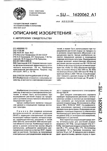 Способ выращивания огурца (патент 1620062)