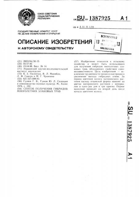 Способ получения гибридов многолетних злаковых трав (патент 1387925)