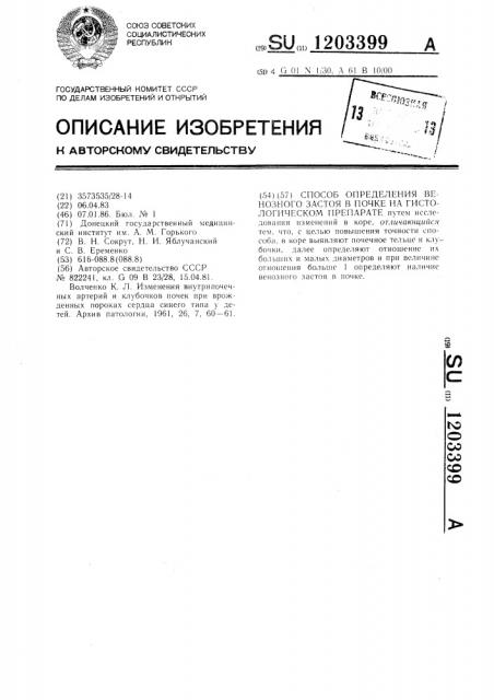 Способ определения венозного застоя в почке на гистологическом препарате (патент 1203399)