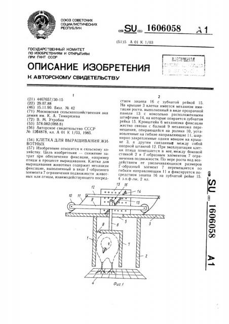 Клетка для выращивания животных (патент 1606058)