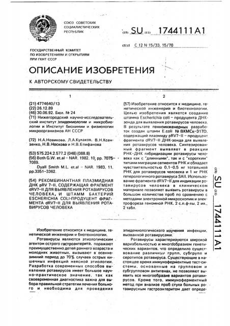 Рекомбинантная плазмидная днк @ rv7-ii, содержащая фрагмент @ rv7-ii для выявления ротавирусов человека, и штамм бактерий еsснеriснiа coli - продуцент фрагмента @ rv7-ii для выявления ротавирусов человека (патент 1744111)