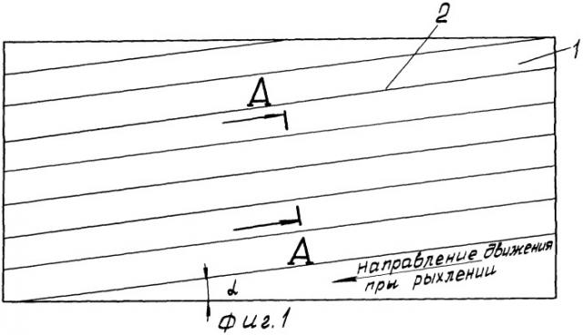 Способ полива при вспашке (патент 2246205)