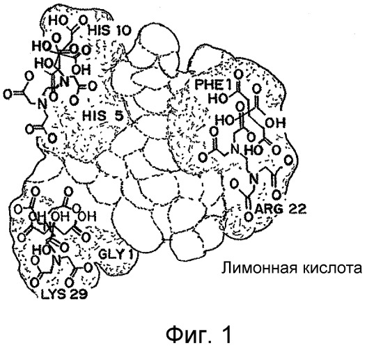 Лекарственные формы инсулина, обладающие быстрым усвоением (патент 2506945)