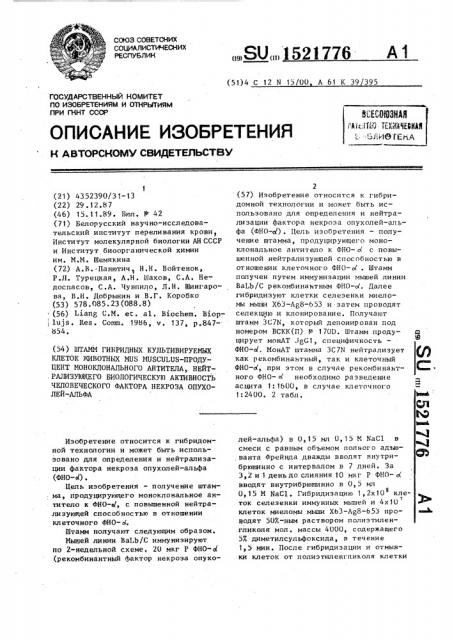 Штамм гибридных культивируемых клеток животных mus мusсulus - продуцент моноклонального антитела, нейтрализующего биологическую активность человеческого фактора некроза опухолей-альфа (патент 1521776)