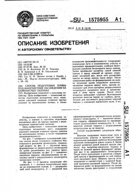 Способ подготовки почв под многолетние насаждения на каменистых склонах (патент 1575955)