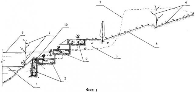 Берегоукрепительное сооружение и способ его возведения (патент 2315150)