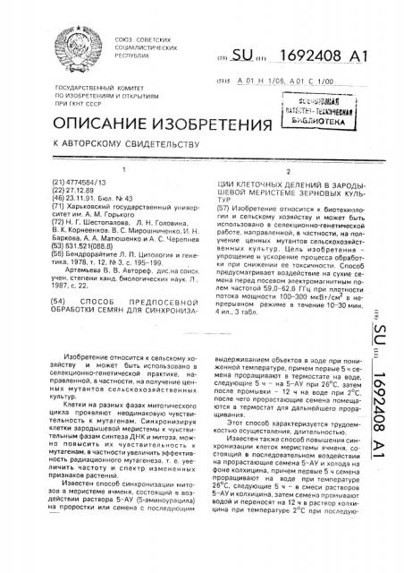 Способ предпосевной обработки семян для синхронизации клеточных делений в зародышевой меристеме зерновых культур (патент 1692408)