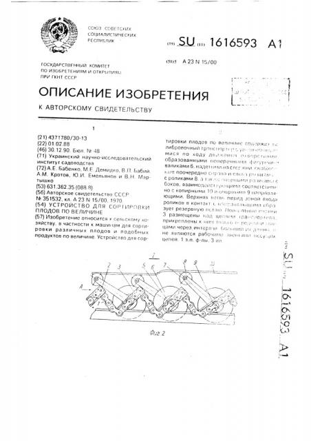 Устройство для сортировки плодов по величине (патент 1616593)